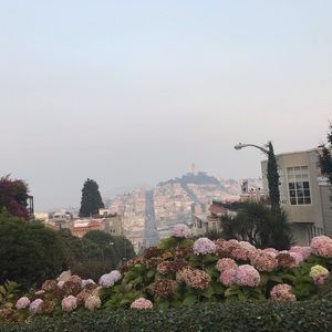 Meet your Posher, Aalyssa